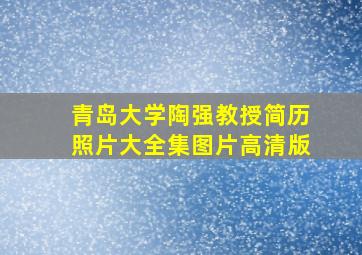 青岛大学陶强教授简历照片大全集图片高清版