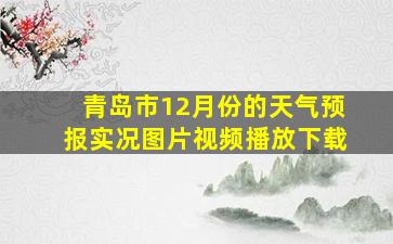 青岛市12月份的天气预报实况图片视频播放下载