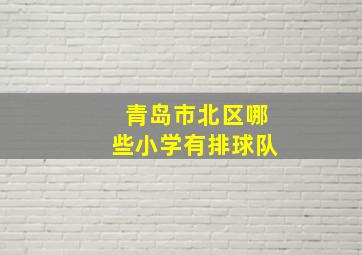 青岛市北区哪些小学有排球队