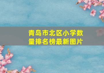 青岛市北区小学数量排名榜最新图片