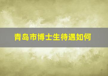 青岛市博士生待遇如何