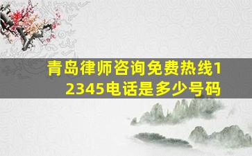 青岛律师咨询免费热线12345电话是多少号码