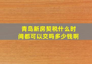 青岛新房契税什么时间都可以交吗多少钱啊