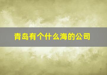 青岛有个什么海的公司