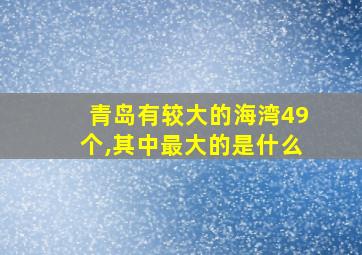 青岛有较大的海湾49个,其中最大的是什么