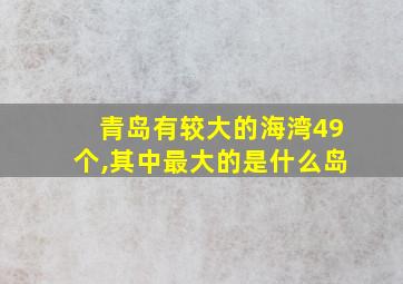 青岛有较大的海湾49个,其中最大的是什么岛