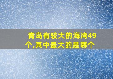 青岛有较大的海湾49个,其中最大的是哪个