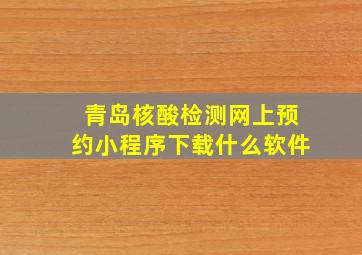 青岛核酸检测网上预约小程序下载什么软件