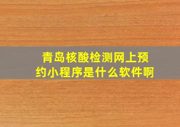 青岛核酸检测网上预约小程序是什么软件啊