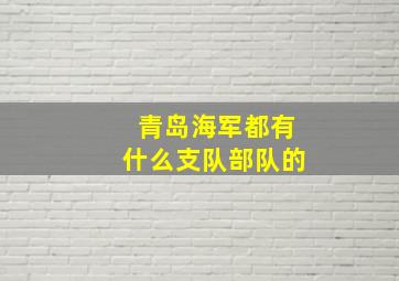 青岛海军都有什么支队部队的