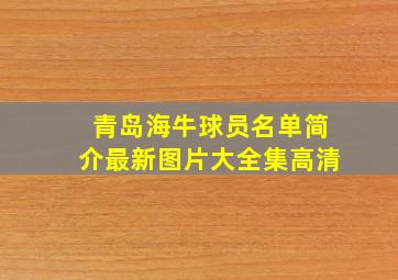 青岛海牛球员名单简介最新图片大全集高清