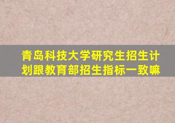 青岛科技大学研究生招生计划跟教育部招生指标一致嘛