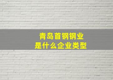 青岛首钢钢业是什么企业类型