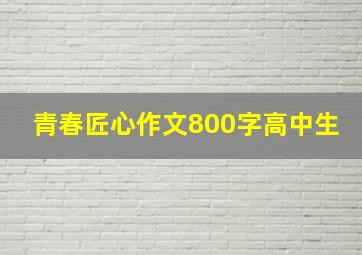 青春匠心作文800字高中生