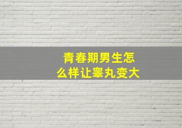 青春期男生怎么样让睾丸变大