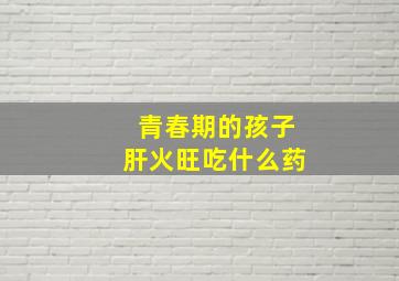 青春期的孩子肝火旺吃什么药