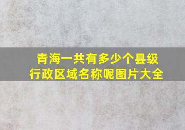 青海一共有多少个县级行政区域名称呢图片大全