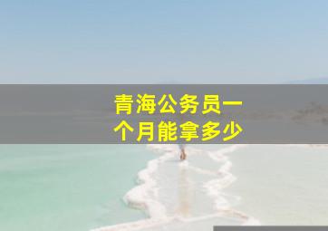 青海公务员一个月能拿多少