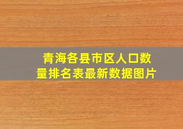 青海各县市区人口数量排名表最新数据图片