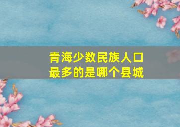 青海少数民族人口最多的是哪个县城