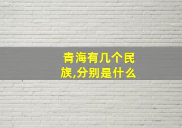 青海有几个民族,分别是什么