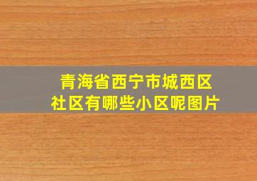 青海省西宁市城西区社区有哪些小区呢图片