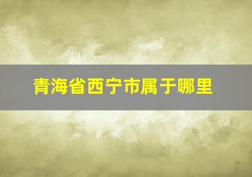 青海省西宁市属于哪里