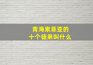 青海索菲亚的十个徒弟叫什么