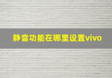 静音功能在哪里设置vivo