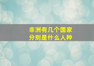 非洲有几个国家分别是什么人种