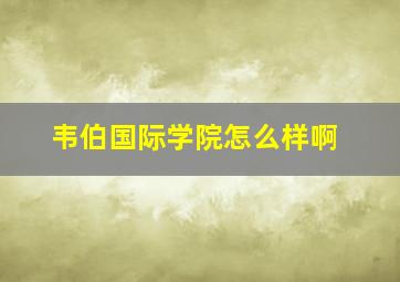 韦伯国际学院怎么样啊