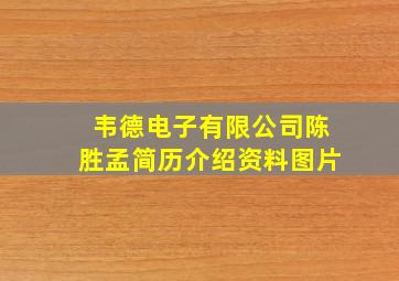 韦德电子有限公司陈胜孟简历介绍资料图片