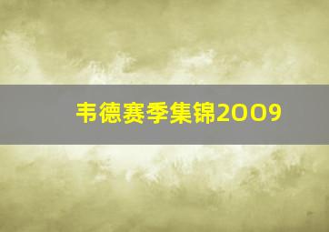 韦德赛季集锦2OO9