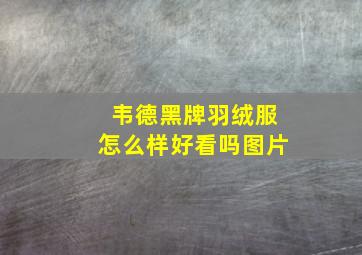 韦德黑牌羽绒服怎么样好看吗图片