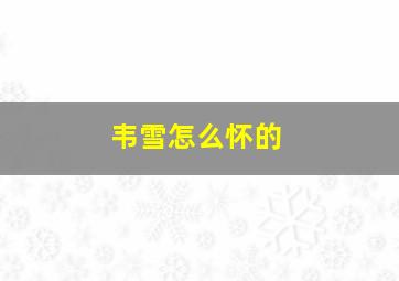 韦雪怎么怀的