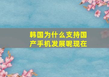 韩国为什么支持国产手机发展呢现在