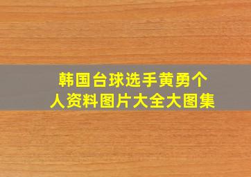 韩国台球选手黄勇个人资料图片大全大图集