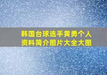 韩国台球选手黄勇个人资料简介图片大全大图