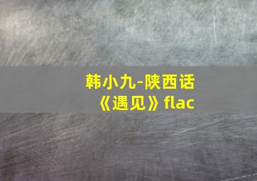 韩小九-陕西话《遇见》flac