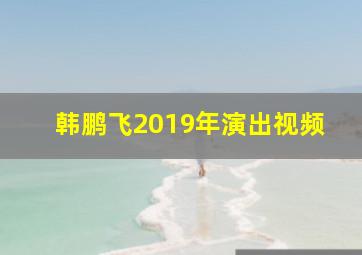 韩鹏飞2019年演出视频