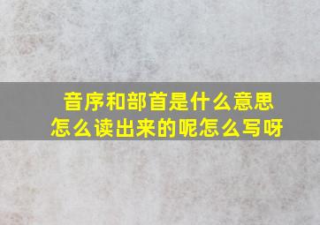 音序和部首是什么意思怎么读出来的呢怎么写呀