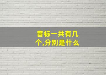 音标一共有几个,分别是什么