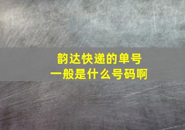 韵达快递的单号一般是什么号码啊