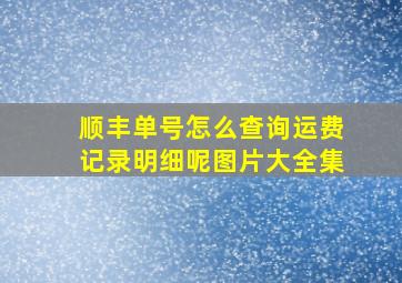 顺丰单号怎么查询运费记录明细呢图片大全集