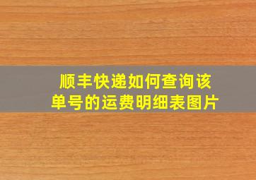 顺丰快递如何查询该单号的运费明细表图片