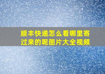 顺丰快递怎么看哪里寄过来的呢图片大全视频