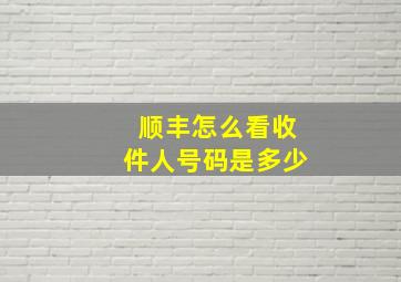 顺丰怎么看收件人号码是多少