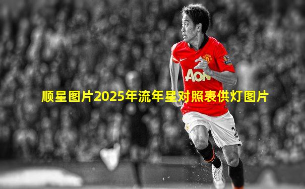 顺星图片2025年流年星对照表供灯图片