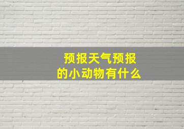 预报天气预报的小动物有什么