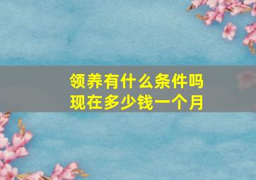 领养有什么条件吗现在多少钱一个月